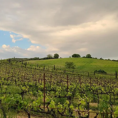 Farmház La Torre Sulla Via Francigena *